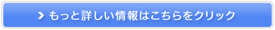 ブラウザだけでできる本格的なAI画像生成【ConoHa AI Canvas】販売サイトへ